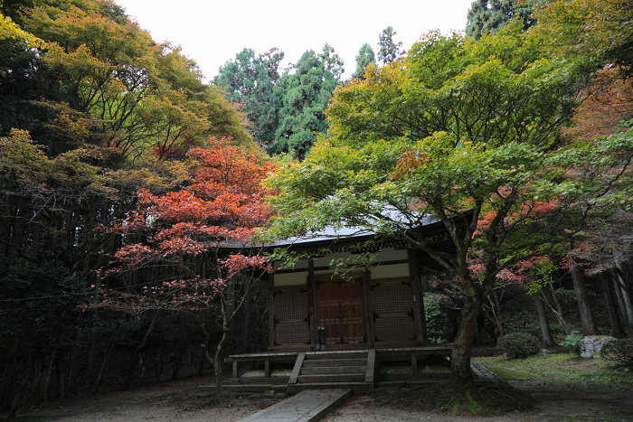 紅葉の比叡山 －延暦寺・横川（恵心堂）－_b0169330_1763859.jpg