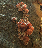f0108133_23435249.jpg