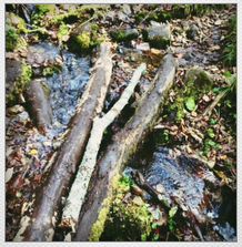 d0235336_16234968.png