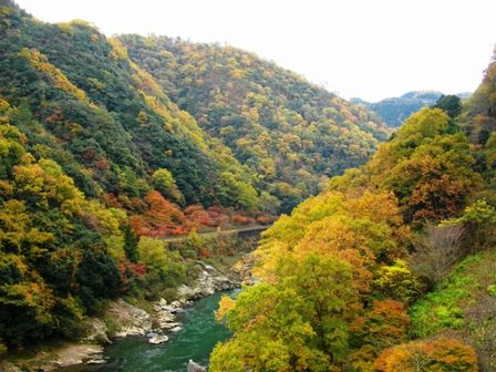 全県踏破の記録　（画像付きレポ）_c0101739_1741443.jpg