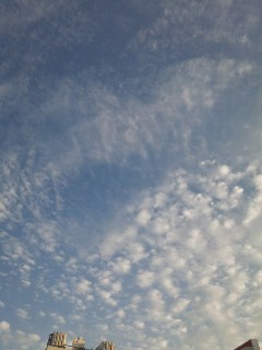 blog:眉毛も踊り出す!町田ミ・サルサSON四郎_a0103940_20521432.jpg