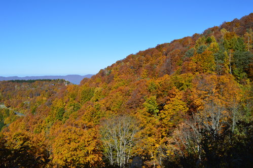 f0118542_12315064.jpg