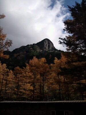 d0115243_28328.jpg