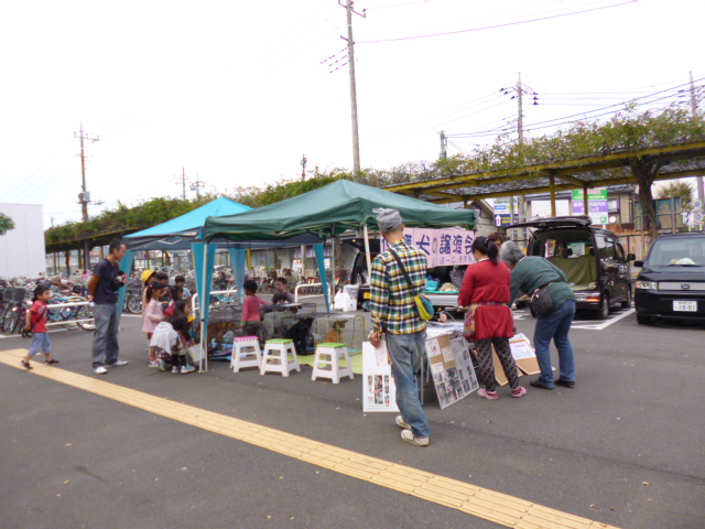 d0106951_1991661.jpg