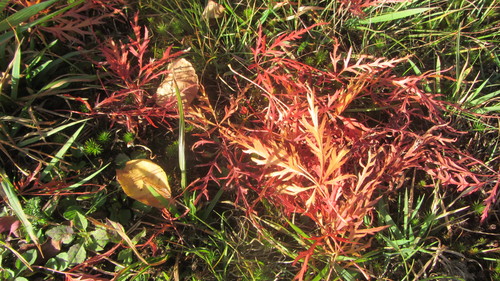 b0247153_23525612.jpg