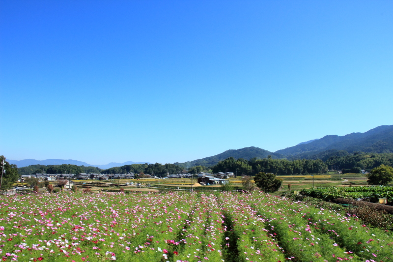 c0272958_2350510.jpg