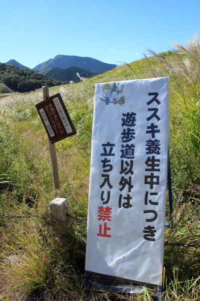 c0272958_8164468.jpg