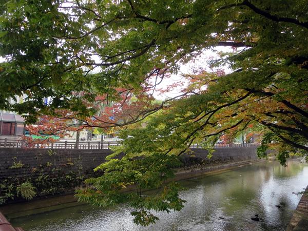 【10月の秋田旅行】⑯紅葉の美しい旭川べり_c0042960_1931109.jpg