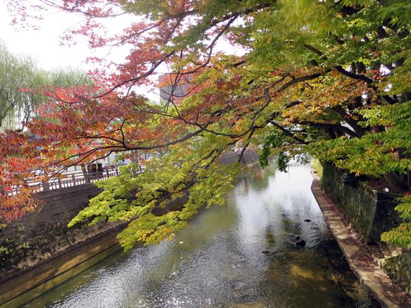 【10月の秋田旅行】⑯紅葉の美しい旭川べり_c0042960_19312082.jpg