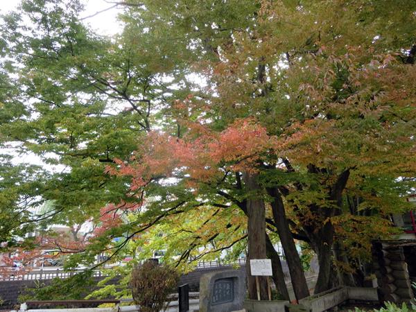 【10月の秋田旅行】⑯紅葉の美しい旭川べり_c0042960_1931385.jpg