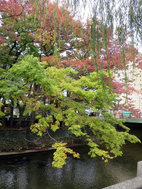 【10月の秋田旅行】⑯紅葉の美しい旭川べり_c0042960_19314132.jpg