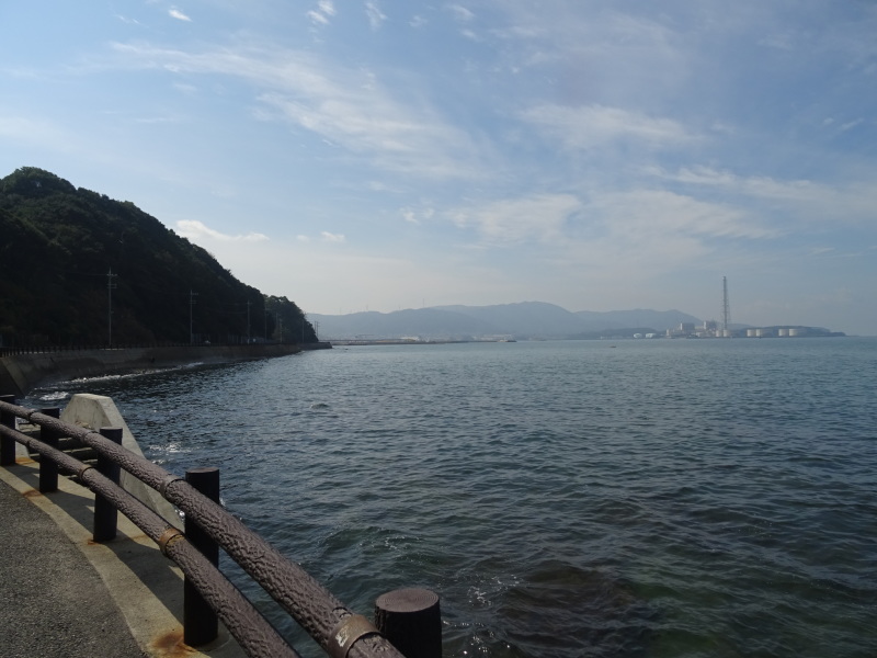 第4回「深日漁港ふれあいフェスタ」へ行ってきました　　　　　by　　　  (TATE-misaki)_c0108460_15580691.jpg