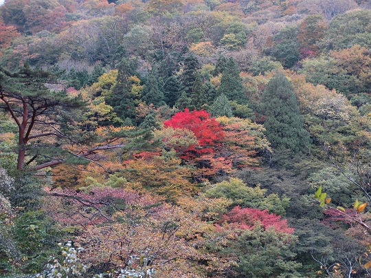 b0145863_0105961.jpg
