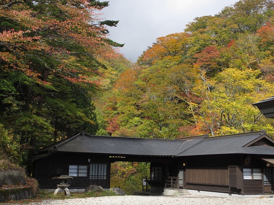b0145863_0175117.jpg