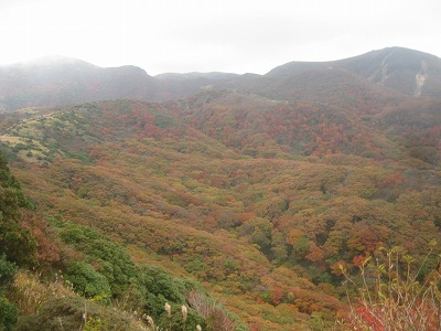 くじゅう連山の紅葉_a0093965_2242323.jpg