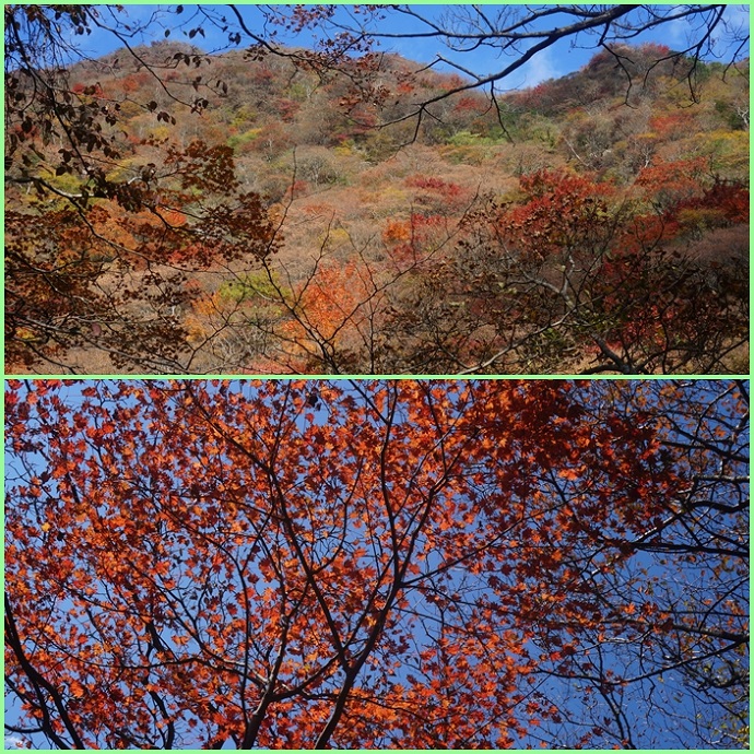 紅葉の鶴見岳と猪群山登山・・・その１（鶴見岳）_f0016066_6433437.jpg