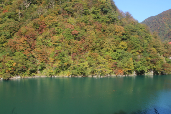 SKY141026 黒部川の清流が織り成す美しいコントラストの紅葉・黄葉綺麗。_d0288367_17343316.jpg