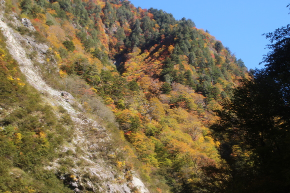 ＳＫＹ１４１０２６　黒部川の清流が織り成す美しいコントラストの紅葉・黄葉綺麗。_d0288367_17351633.jpg