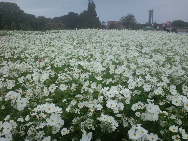 c0068168_1325348.jpg