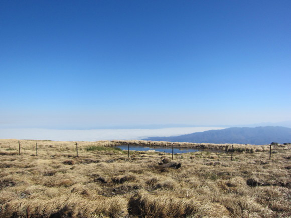 f0204469_82879.jpg