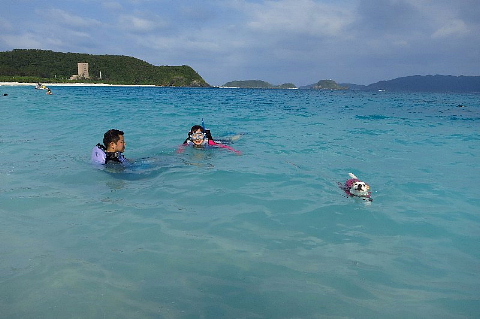 魚と出会う旅。_b0141773_237166.jpg