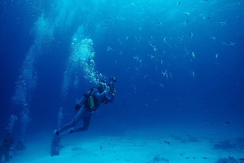 魚と出会う旅。_b0141773_2374532.jpg