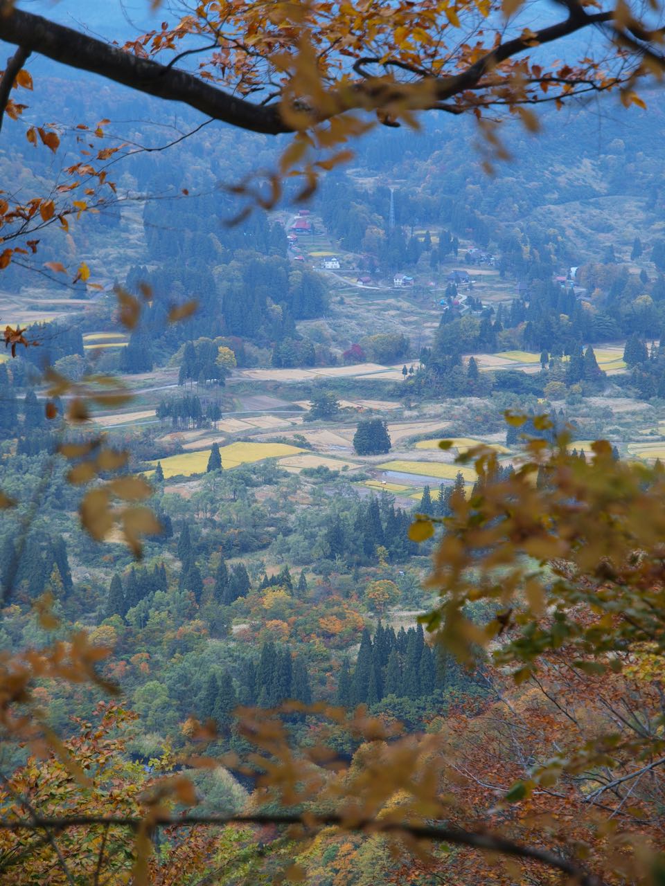 天水山の紅葉_a0025576_7472757.jpg