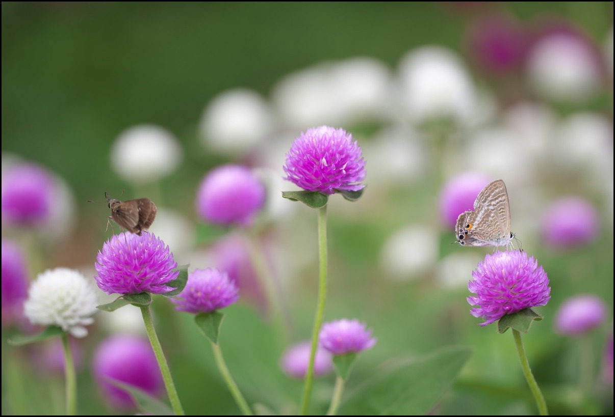 10月の公園で_b0044477_091455.jpg