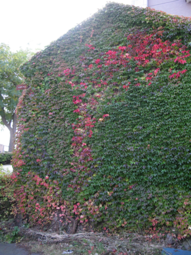 b0221077_20364463.png