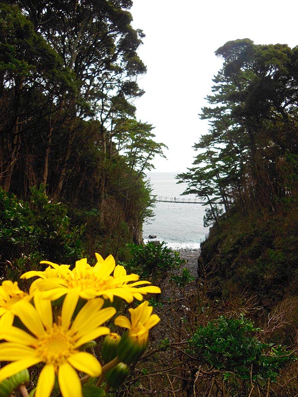 橋立のつり橋・対島川と対島滝_c0199777_19274505.jpg