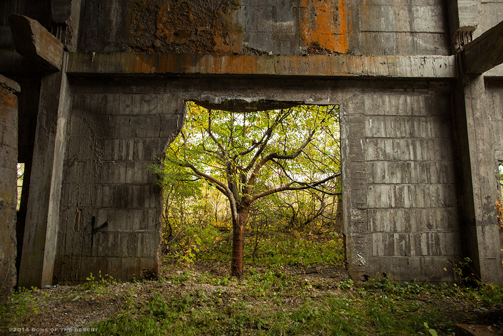 Abandoned Iron factory in Aomori._a0259279_10141705.jpg