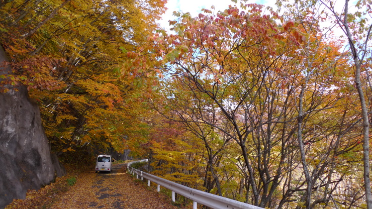 c0212083_20225835.jpg