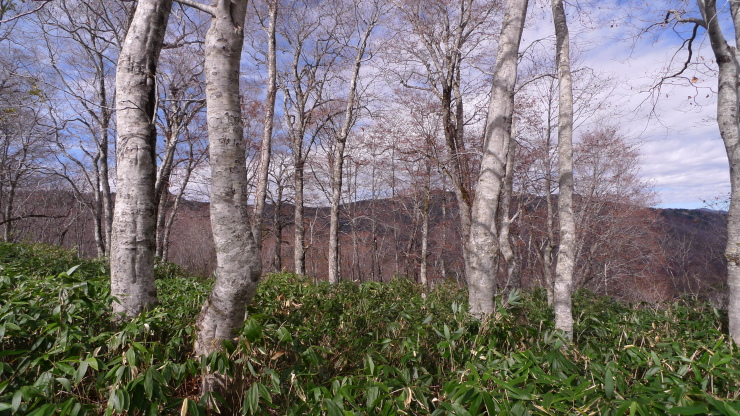 c0212083_20272106.jpg