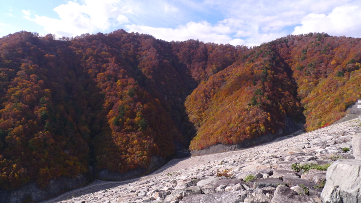 c0212083_20291598.jpg