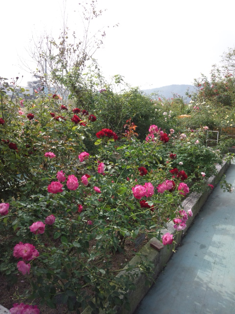 c0026594_17252393.jpg