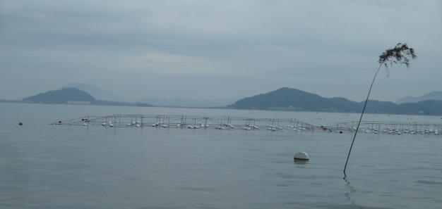 f0166694_1846711.jpg