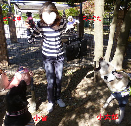 d0282395_1071562.png