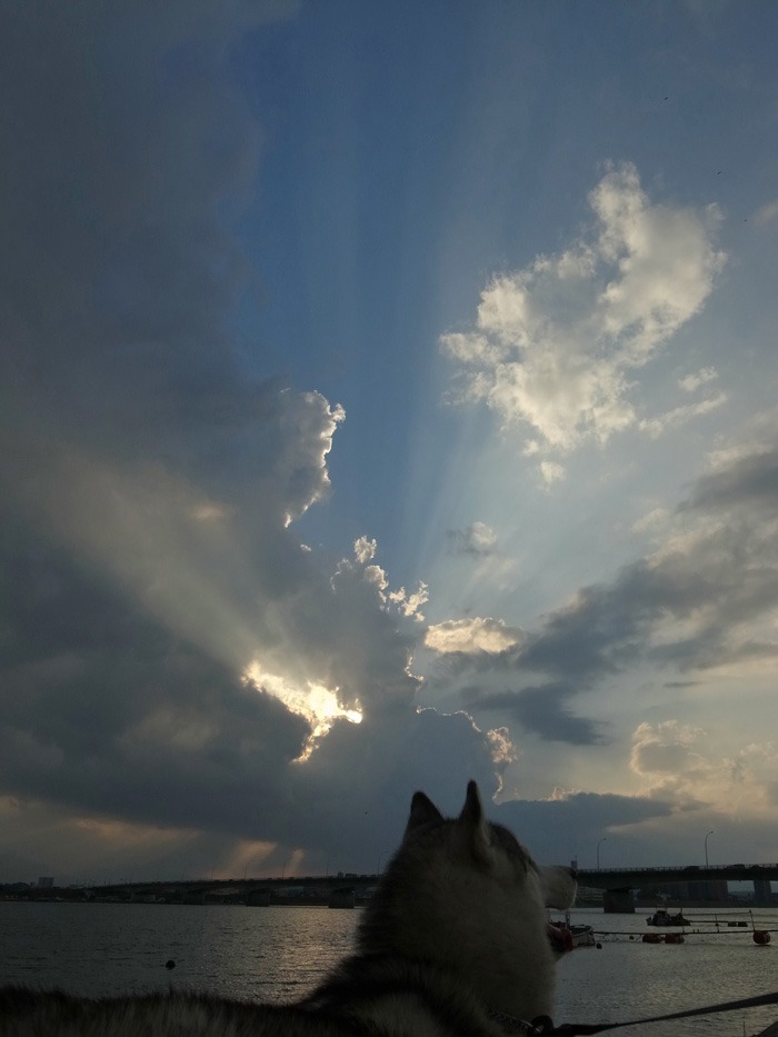 c0049299_21541446.jpg