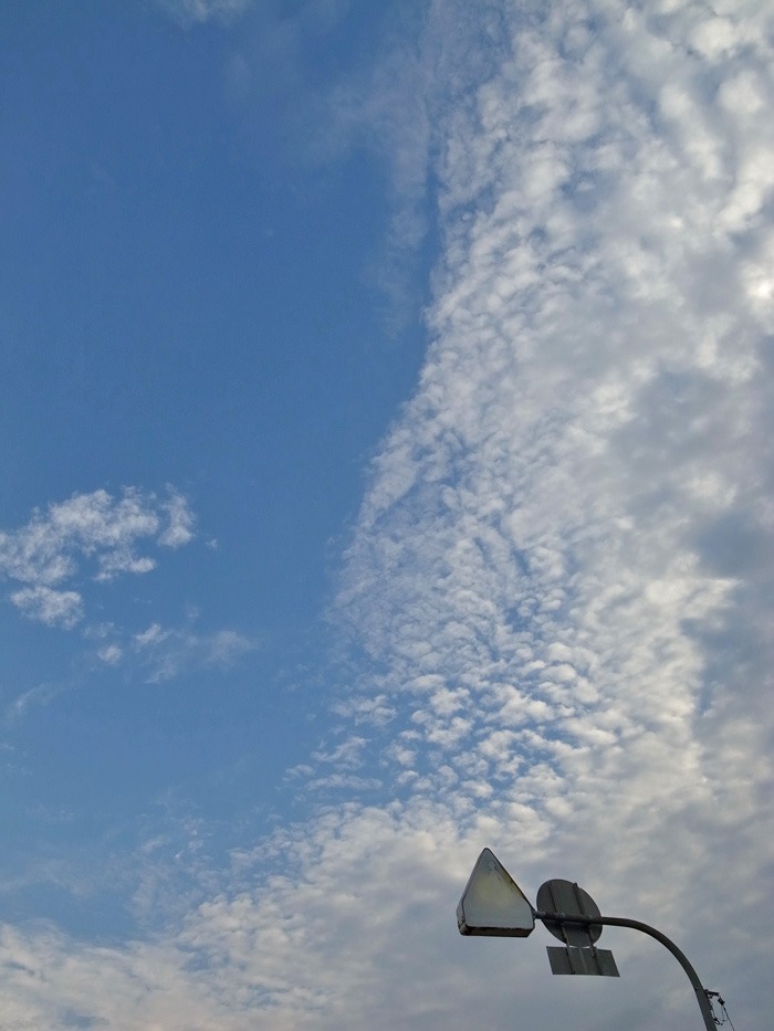 c0049299_21593251.jpg