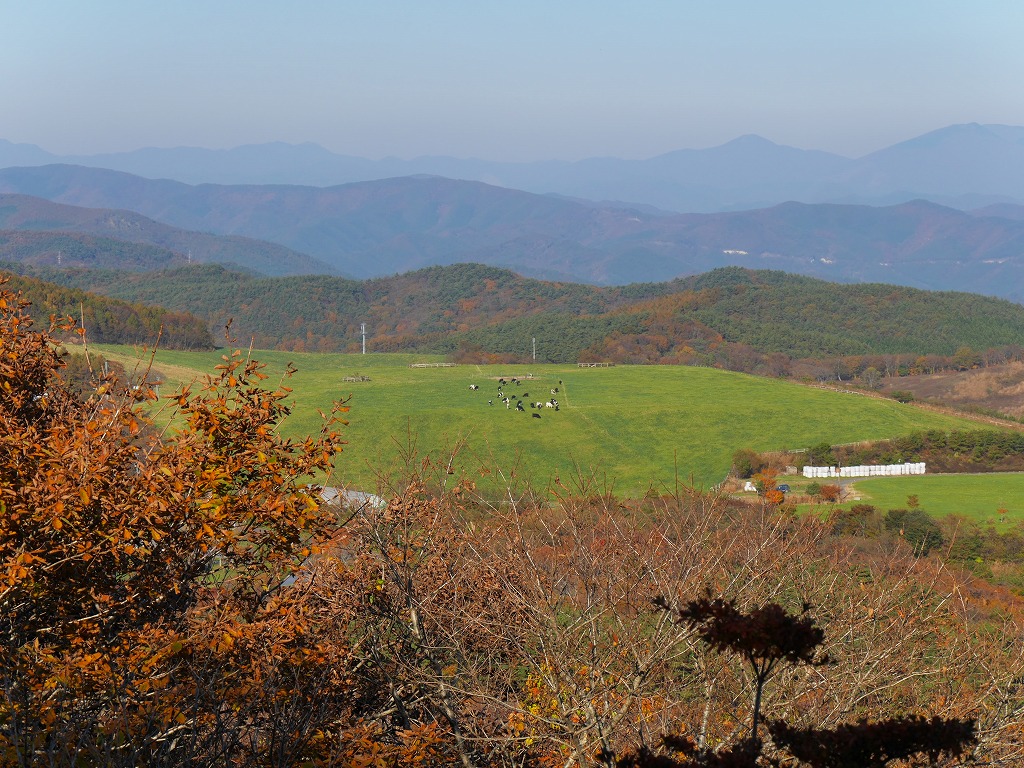 今年の紅葉_f0138305_2071477.jpg