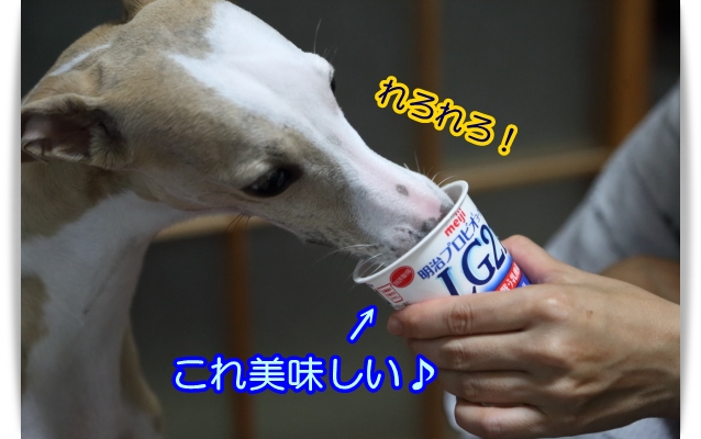 e0100007_21364920.jpg