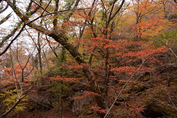 b0277008_811889.jpg