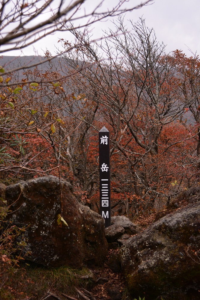 b0277008_8133029.jpg