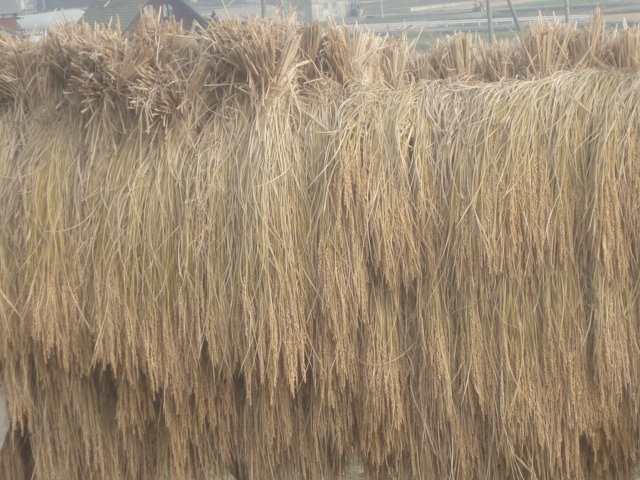 f0231709_19482355.jpg
