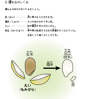 f0231709_19522913.gif