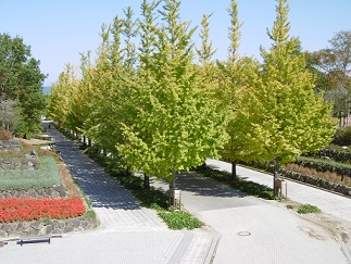 b0146611_78991.jpg