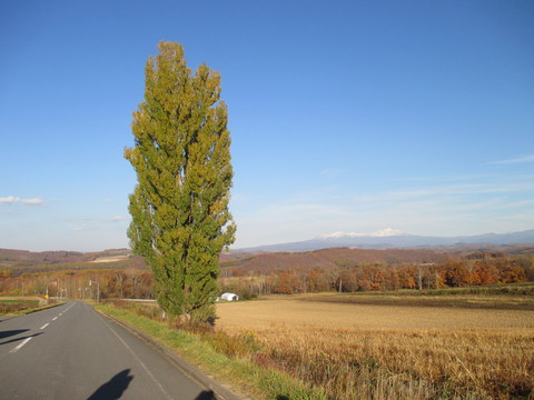 b0183111_21301067.jpg