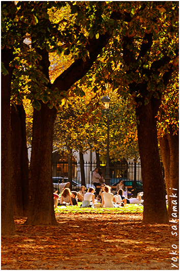 PLACE DES VOSGES 7_d0020312_16344566.jpg