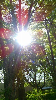 a0049614_8333667.jpg