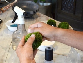 苔の箱庭作りワークショップ風景_d0263815_14554954.jpg